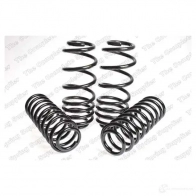 Комплект пружин подвески LESJOFORS 4504255 7394410042464 Audi A4 (B5) 1 1994 – 2000 7WO2J U
