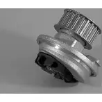 Насос AUTEX 1633447 FZ G14 QWPEP 980055