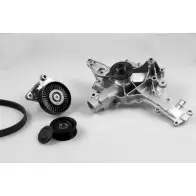 Комплект водяного насоса / ручейковых ремней AUTEX 1634988 K980453A 1ATLGB8 I 2TMR