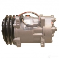 Компрессор кондиционера LIZARTE 811026199 8435241004357 1DW2Z 3G 2368061