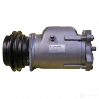 Компрессор кондиционера LIZARTE C WV1Q 810606001 8435241004999 2367572