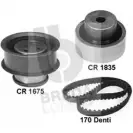 Комплект ремня ГРМ BREDA LORETT 0HPQEL9 KCD0307 KCD 0307 1714502