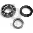 Ступичный подшипник, комплект BREDA LORETT 5LIF73 CR 2592 KRT2592 1715394