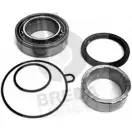 Ступичный подшипник, комплект BREDA LORETT KRT2651 CR 2651 1715435 N5UQYV
