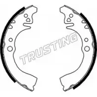 Тормозные колодки, комплект TRUSTING FNH7RNH 026.344 T2246 2K 1747812