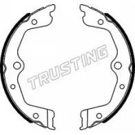 Тормозные колодки ручника, комплект TRUSTING 1748121 049.167 D7 7Q29E Y8Z4NRI