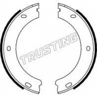 Тормозные колодки ручника, комплект TRUSTING 220X0JN N7 OM8 079.188 1748339