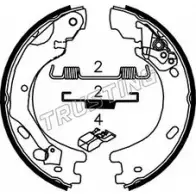 Тормозные колодки ручника, комплект TRUSTING 4 H5QYEC 092.313 1748434 XMUIZF