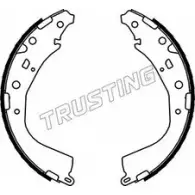 Тормозные колодки ручника, комплект TRUSTING V J36D 1748633 IP5X8Z 115.319