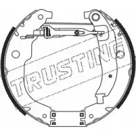 Тормозные колодки, комплект TRUSTING 5316 D K2X9 M55FG Peugeot 207 1 (WA, WC, PF1) Хэтчбек 1.4 Bioflex 82 л.с. 2008 – 2025