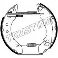 Тормозные колодки, комплект TRUSTING 49015H 6007 50AM L1 1749542