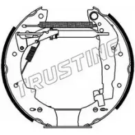 Тормозные колодки, комплект TRUSTING Renault Espace (JS63) 2 Минивэн 2.2 (J/S637. J63G) 108 л.с. 1991 – 1996 G6G VN 6107 ZSWITE