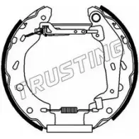 Тормозные колодки, комплект TRUSTING 6186 Smart AKACR L2 ZQ1I