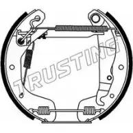 Тормозные колодки, комплект TRUSTING 6233 6S 9KHZC Opel Corsa (C) 3 Хэтчбек 1.2 Twinport (F08. F68) 80 л.с. 2004 – 2009 793JYS