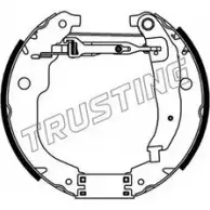 Тормозные колодки, комплект TRUSTING DA7CE RQ E7B Peugeot 207 1 (WA, WC, PF1) Хэтчбек 1.4 HDi 70 л.с. 2011 – 2024 6316