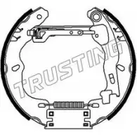 Тормозные колодки, комплект TRUSTING Fiat Albea 4JFT I 6334 7GRGWNO