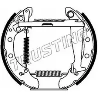 Тормозные колодки, комплект TRUSTING 6417 Audi IWLY CU XHLDAAY