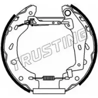 Тормозные колодки, комплект TRUSTING 6452 NOTN6D4 HGME AR 1749994