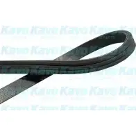 Приводной ремень, поликлиновой KAVO PARTS DMV-9059 Toyota 3PK630 3PK62 8