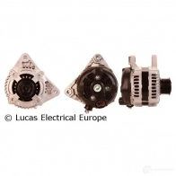 Генератор LUCAS ELECTRICAL Suzuki Grand Vitara (JT, TE, TD) 2 Кроссовер 1.9 DDiS AWD (JT419. TD44. JB419WD. JB419xD) 129 л.с. 2005 – 2015 lra03031 5LK D2A 5708279166773