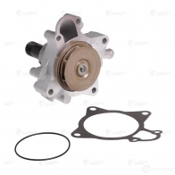Насос водяной для автомобилей Fiat Ducato (06-)/Iveco Daily (06-) 3.0D (F1C) LUZAR 5XLJ E9 1425585550 lwp1681 - Изображение 3