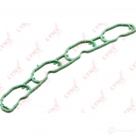 Прокладка впускного коллектора LYNXAUTO J EWNB 1438135121 SG-0310