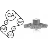 Комплект ремня ГРМ с помпой AIRTEX 8435013854524 WPK-169101 R YAXQ Peugeot 406 1 (8B, E, C) 1995 – 2005