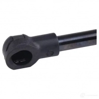 Амортизатор капота MAGNETI MARELLI 430719066900 1039271 M6BJRG GS0 669 - Изображение 5