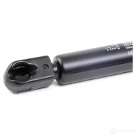 Амортизатор багажника MAGNETI MARELLI 1038821 GS019 5 1JYMZ 430719019500 - Изображение 4