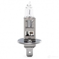 Галогенная лампа MAGNETI MARELLI H1 12 XL 002587100000 H1 12V 50L 1014573 - Изображение 3