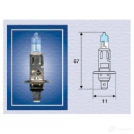 Галогенная лампа MAGNETI MARELLI H1 12 XL 002587100000 H1 12V 50L 1014573 - Изображение 5