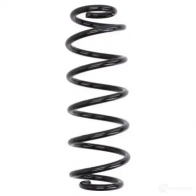 Пружина MAGNUM TECHNOLOGY G WGGR 1437626396 sw162mt