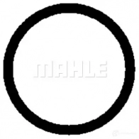 Компрессор кондиционера MAHLE ORIGINAL ACP 995 000P 7E WZO 1437595550 - Изображение 4