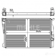 Радиатор охлаждения двигателя MAHLE ORIGINAL Y I1NOY CR 876 000P Bmw X3 (F25) 2 Кроссовер 2.0 sDrive 20 i 184 л.с. 2014 – 2017