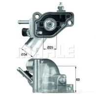 Термостат ож