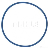 Масляный фильтр MAHLE ORIGINAL OX 399D ECO OX 399D 70377390 2359894 - Изображение 7