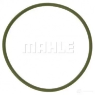 Масляный фильтр MAHLE ORIGINAL OX 420D ECO OX 420D 70532135 2359916 - Изображение 12