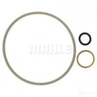 Масляный фильтр MAHLE ORIGINAL OX 636D ECO OX 636D 2359953 70511333 - Изображение 11