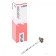 Выпускной клапан MAHLE ORIGINAL 2350020 RMNFS O7 081 VA 31261 000 4009026723937 - Изображение 2