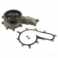 Водяной насос, помпа MAHLE ORIGINAL F WF8CF 1437630051 CP 479 000S