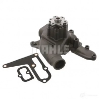 Водяной насос, помпа MAHLE ORIGINAL UH RQU2 CP 505 000S 1437630813
