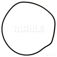 Водяной насос, помпа MAHLE ORIGINAL 1437630814 T UXMN CP 603 000P - Изображение 3