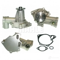 Водяной насос, помпа MAHLE ORIGINAL G2Q 6Y CP 278 000P 1437631220