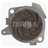 Водяной насос, помпа MAHLE ORIGINAL CP 173 000P 1437630675 EB2UW WU