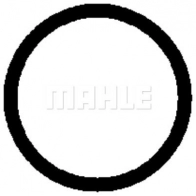 Компрессор кондиционера MAHLE ORIGINAL ACP 992 000P 1440656797 H TM8HB - Изображение 9