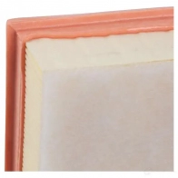 Воздушный фильтр MANN-FILTER A8 DVX4 c251091 4011558383305 64613 - Изображение 4