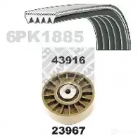 Комплект приводного ремня MAPCO J43U 5 1302153 23916 4043605583352