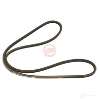 Приводной ремень, поликлиновой MASTER-SPORT V OZTY 2718243 2pj800pcsms - Изображение 3