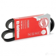 Приводной ремень, поликлиновой MASTER-SPORT 6pk906pcsms 2721144 YV2N2 MA - Изображение 2