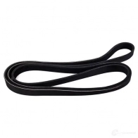 Приводной ремень, поликлиновой MASTER-SPORT 2721097 6 PK 2099 6 PK 2098 6pk2100pcsms - Изображение 2